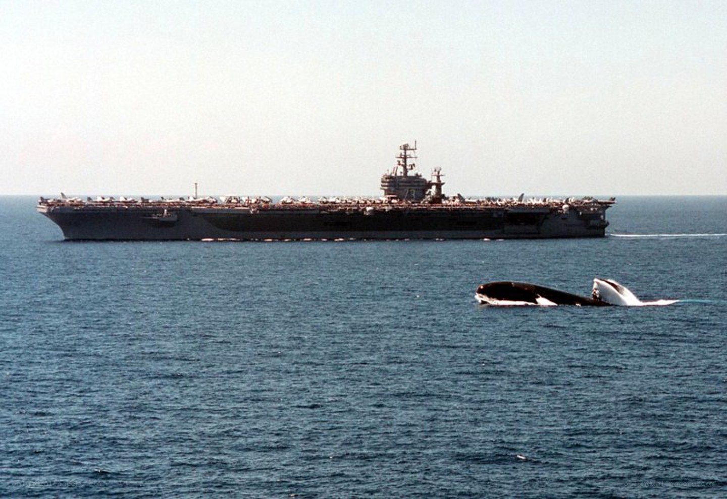 aircraft carrier with whale