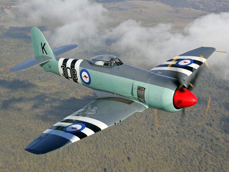 Aircraft in Flight — Green, Dynamic