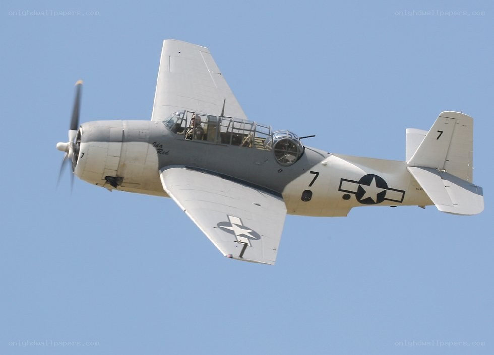 Aircraft in flight