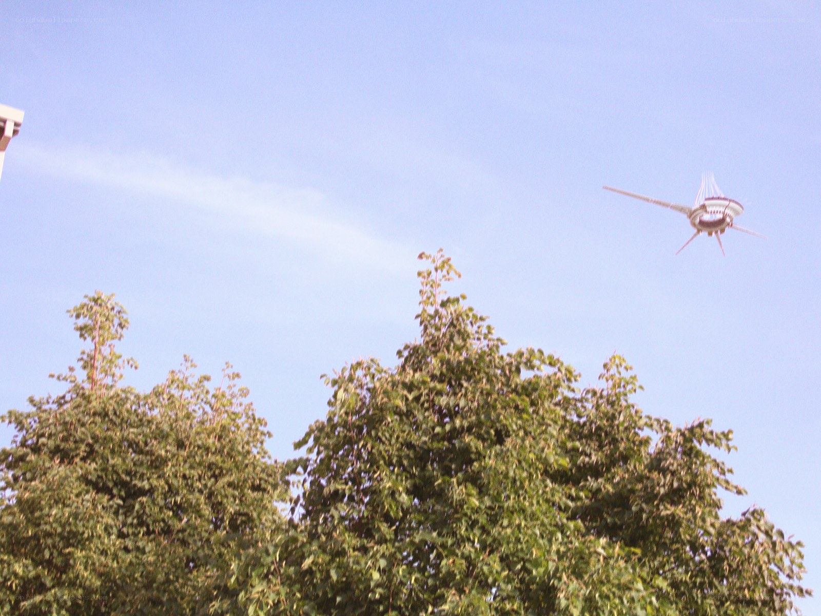 aircraft over trees