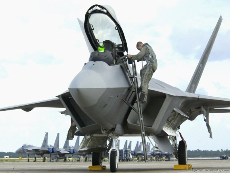 Aircraft Pilot Boarding Jet