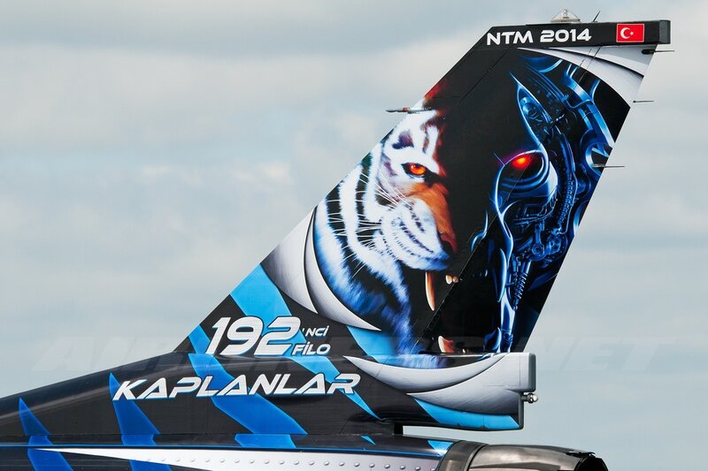 Aircraft Tail with Tiger Design