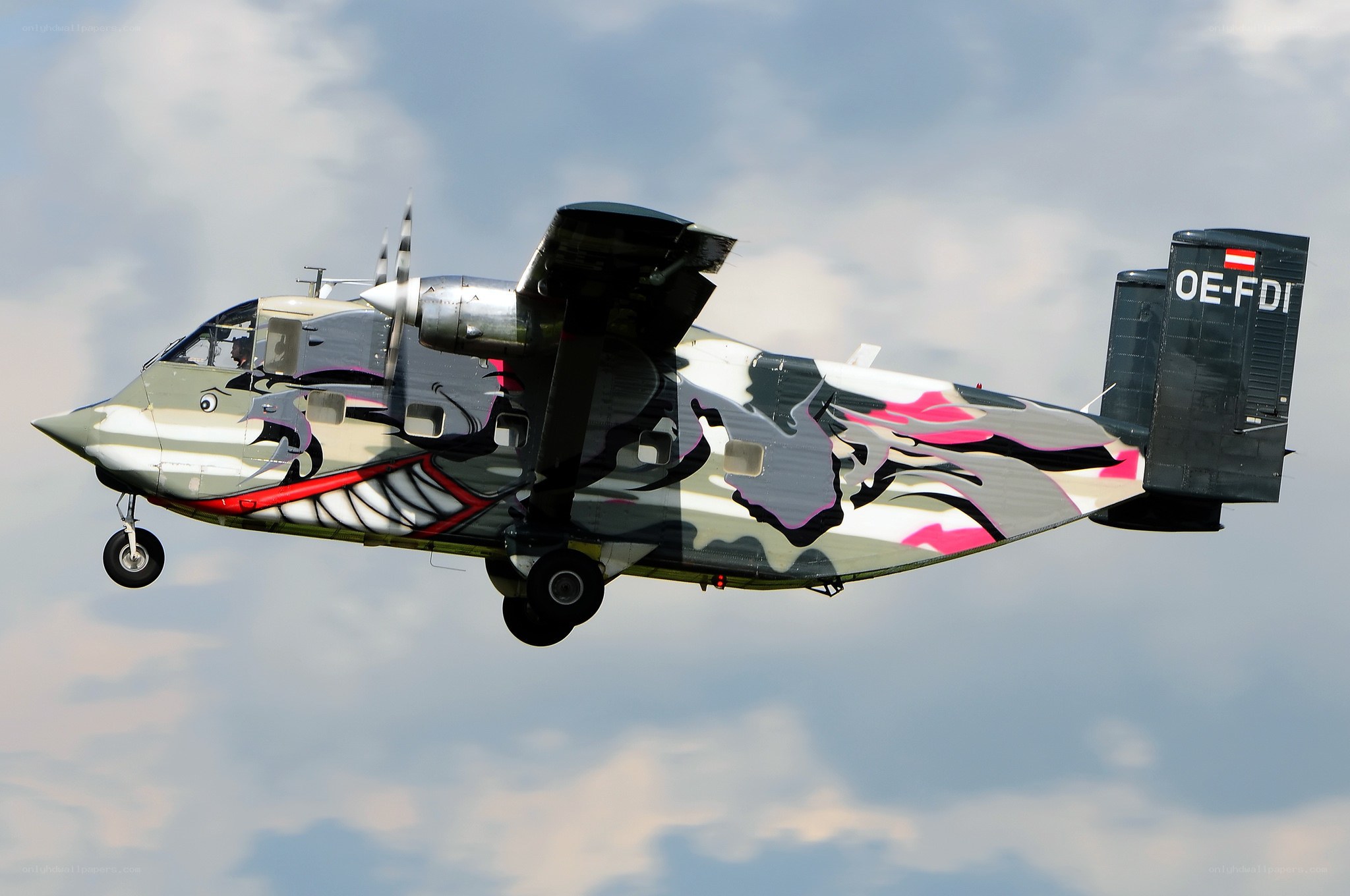 aircraft with custom livery