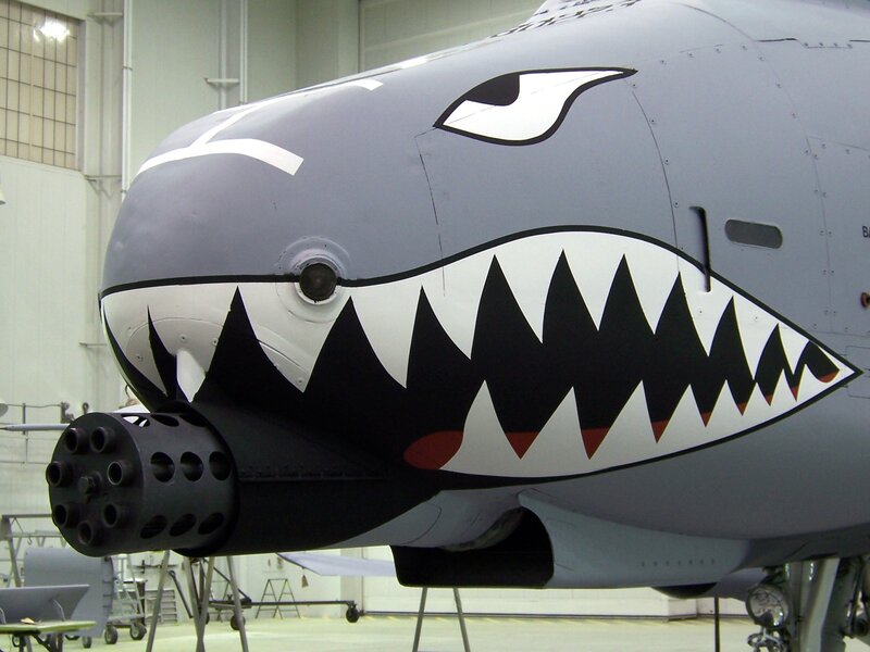 Aircraft with Shark Mouth — Gray, Dramatic