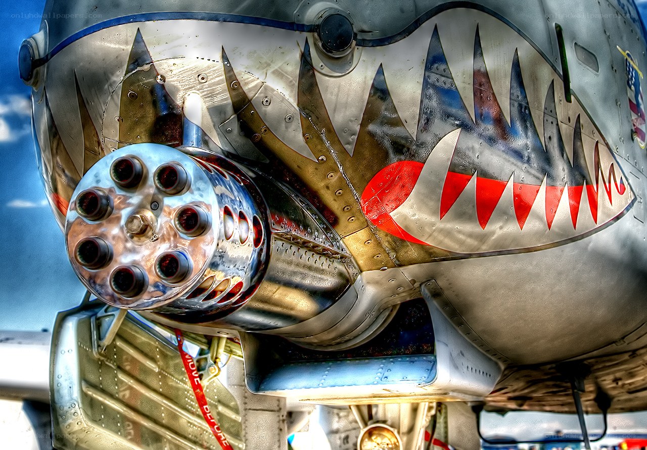 aircraft with shark mouth