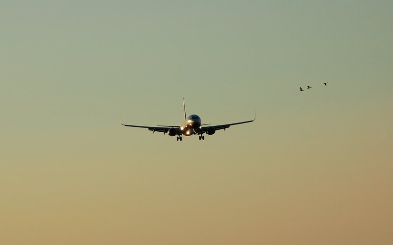 Airplane Approaching Landing