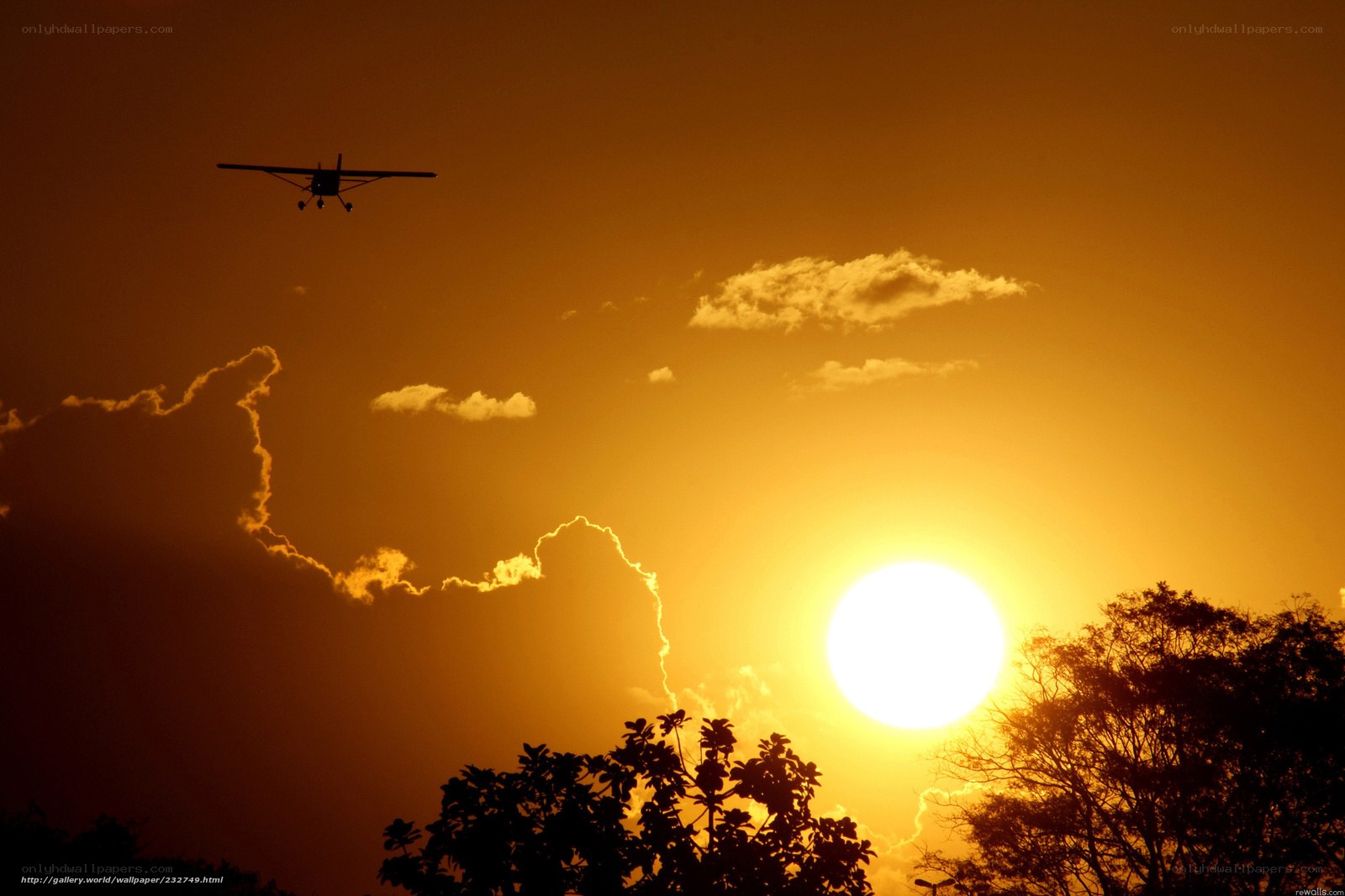Airplane at sunset
