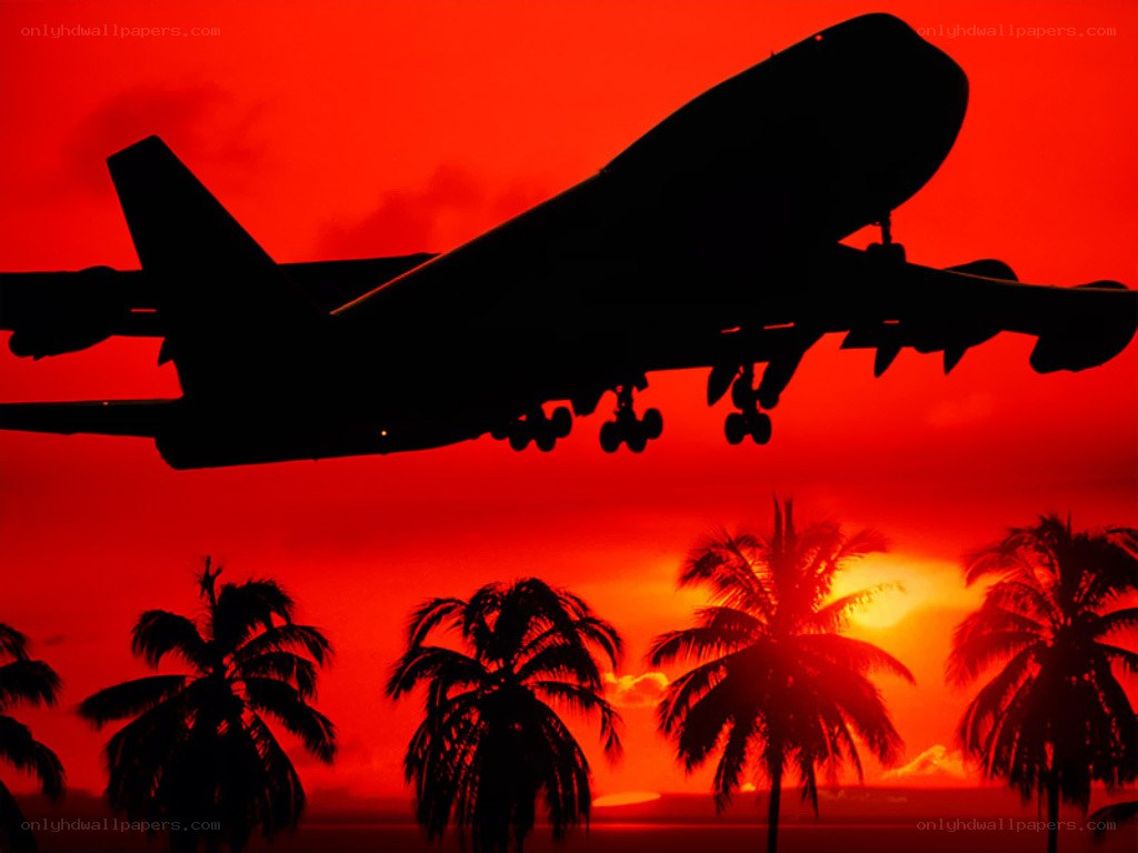 Airplane at tropical sunset