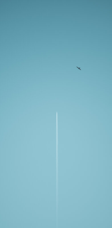 Airplane Contrail and Bird