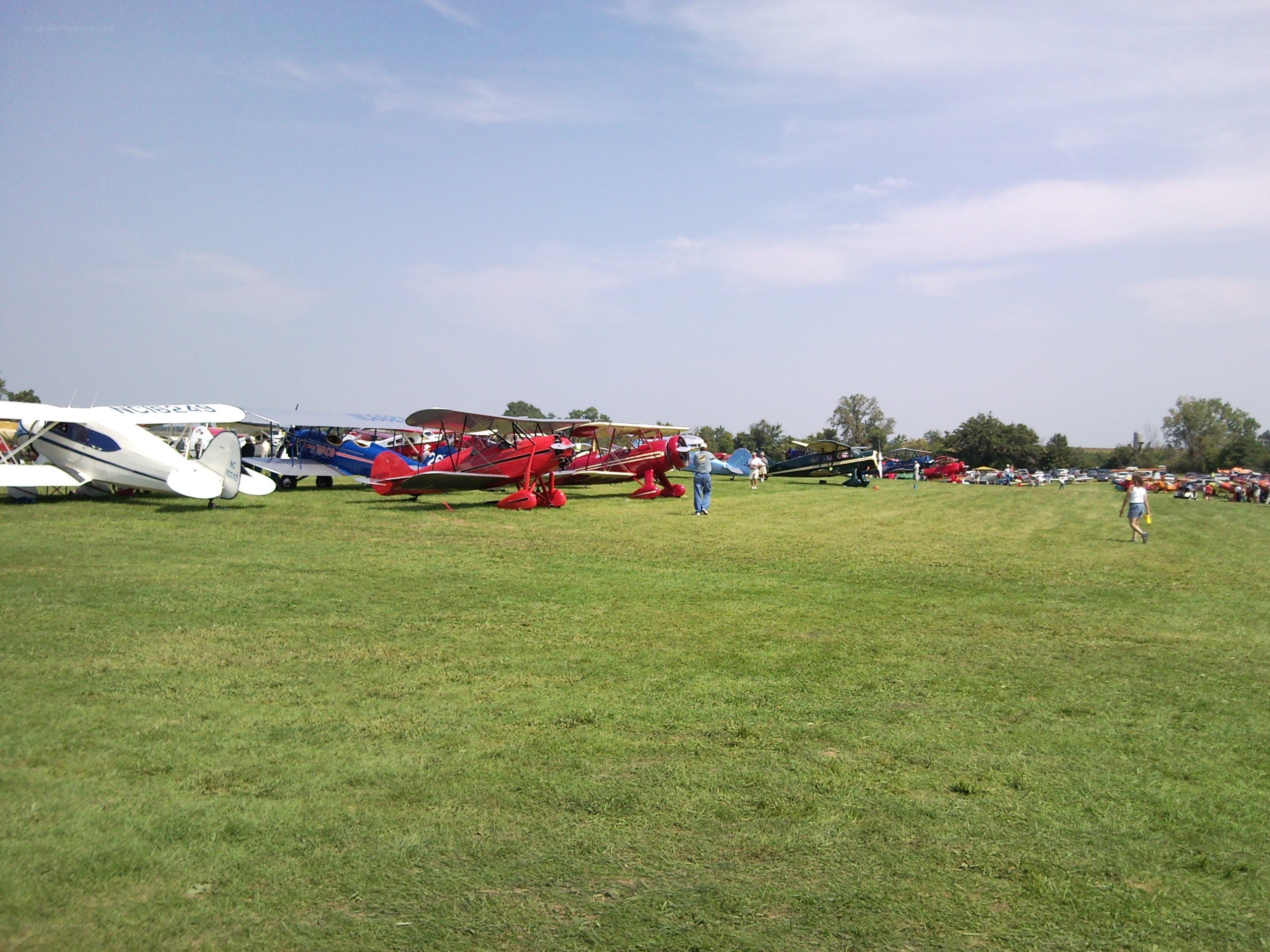 Airplane display on a field