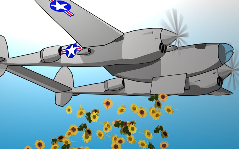 airplane dropping sunflowers