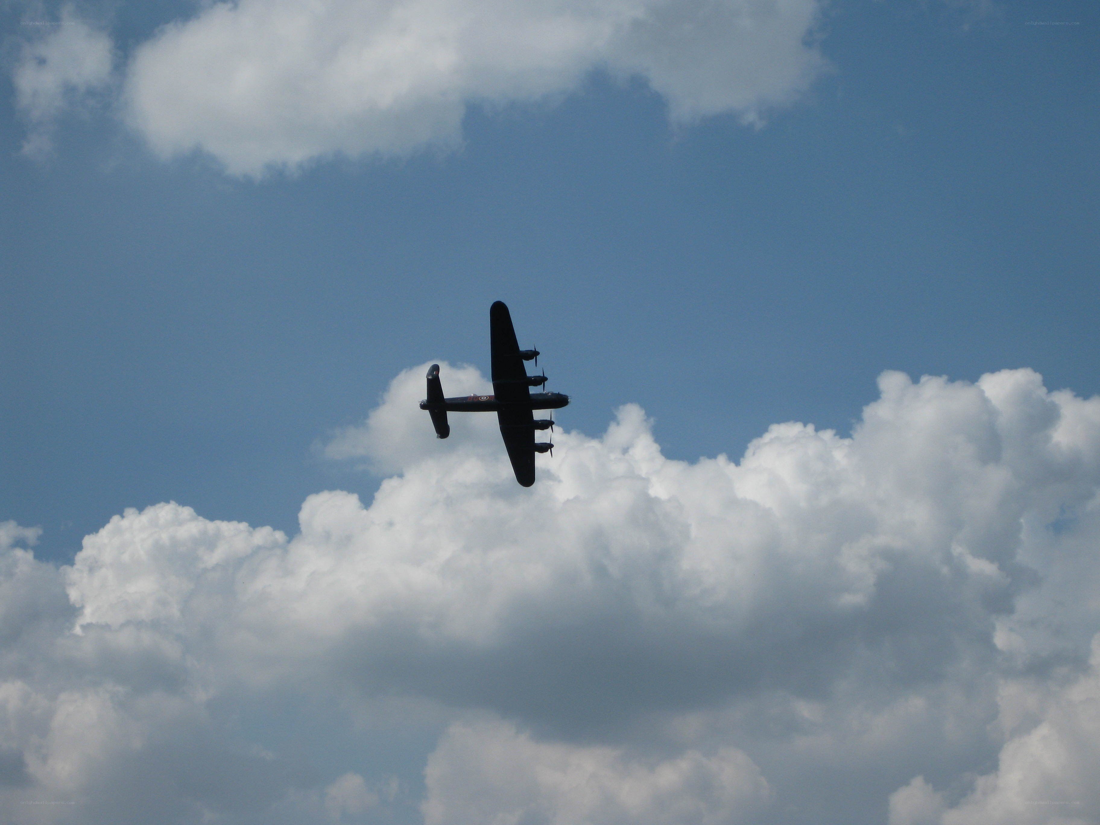 airplane flying in the sky