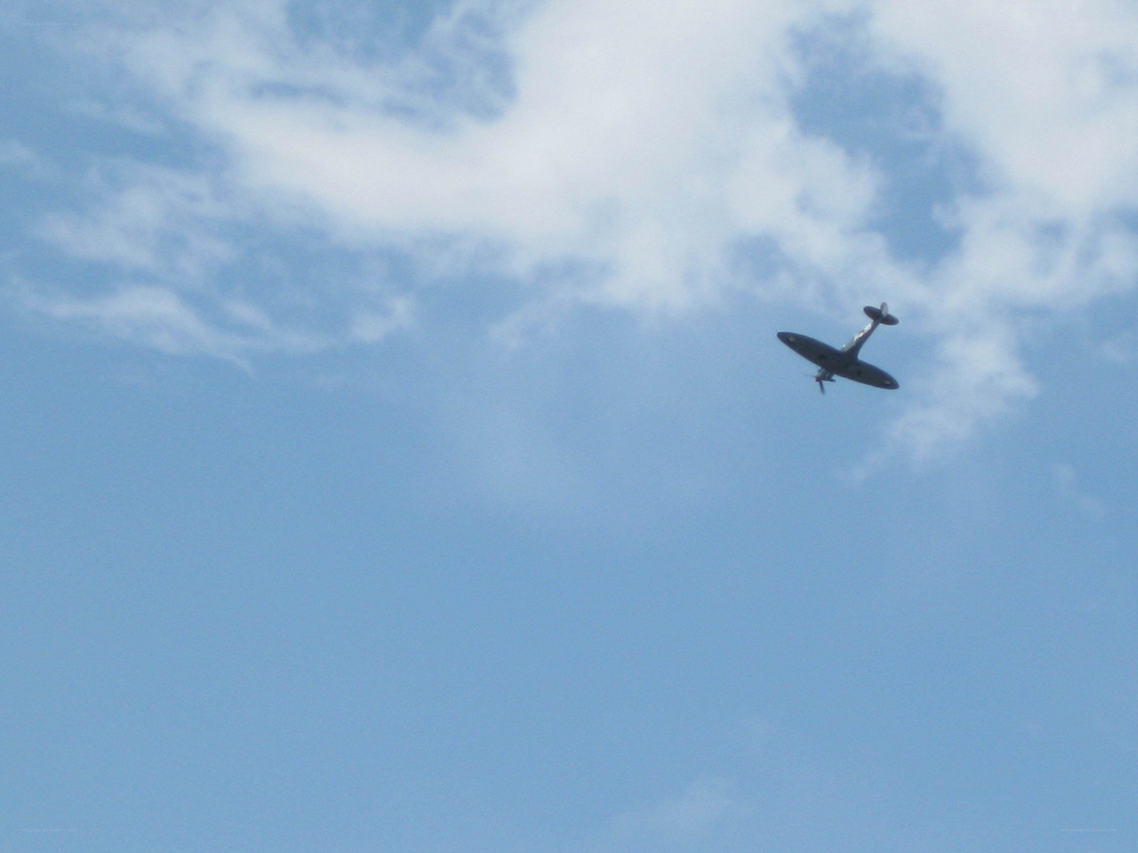 airplane flying in the sky