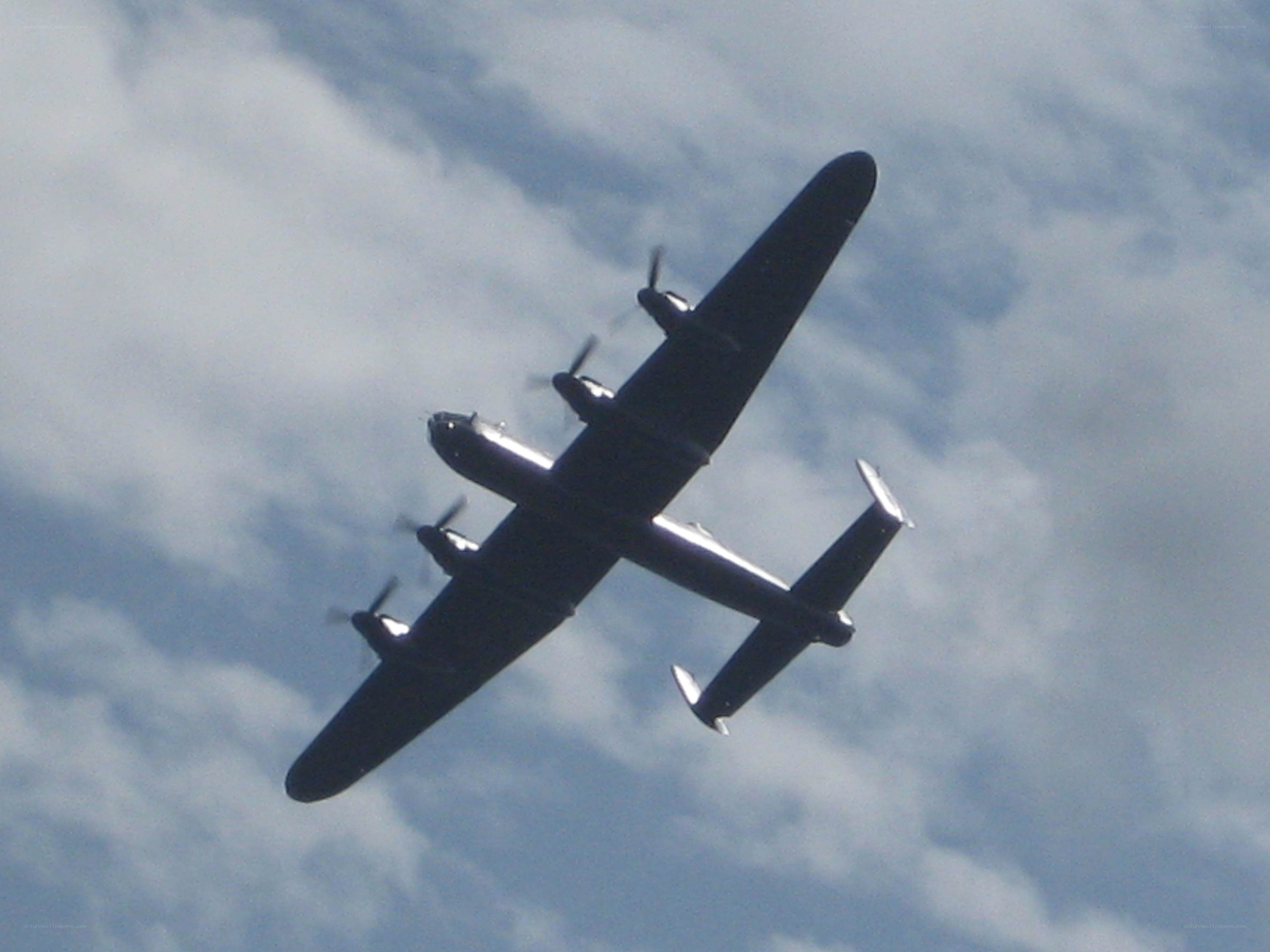 airplane flying in the sky