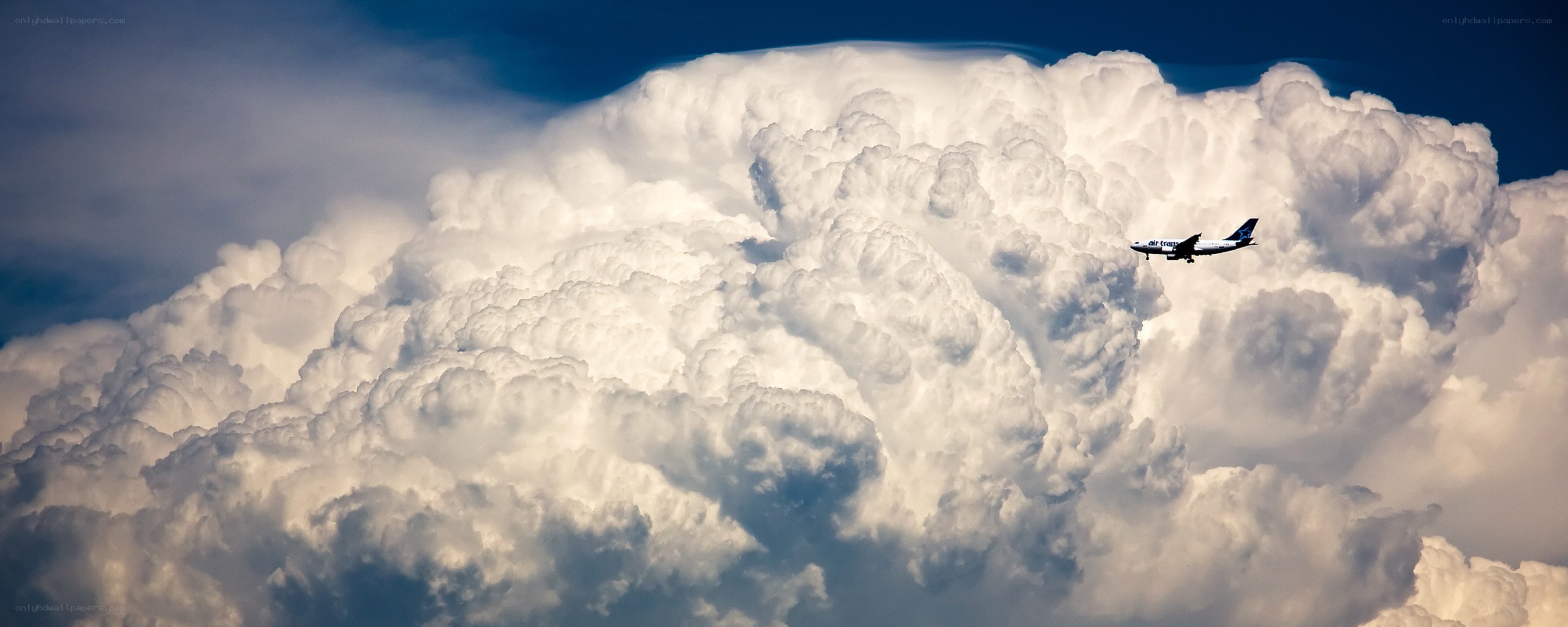 Airplane flying near a large cloud