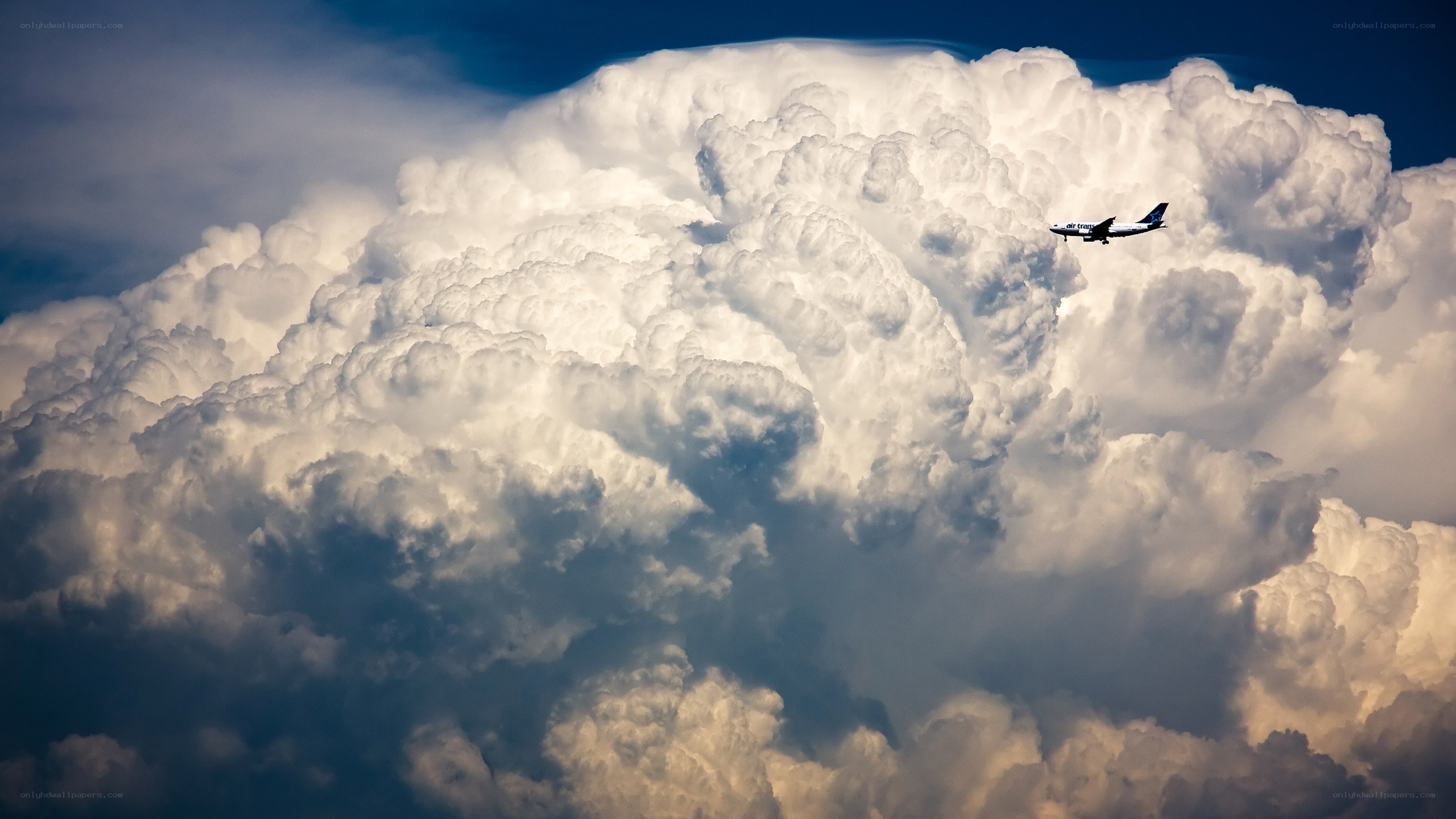 Airplane flying near a large cloud