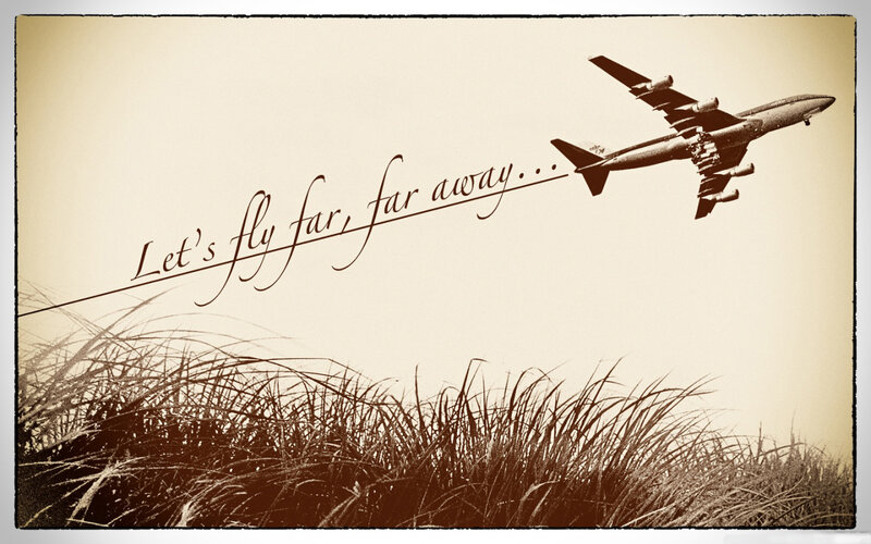 Airplane Flying over Grass