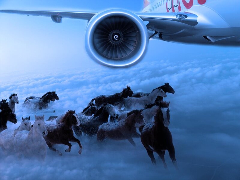 Airplane flying over horses in clouds