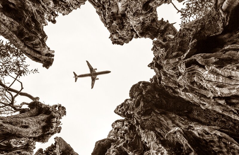 Airplane Flying over Trees — Brown