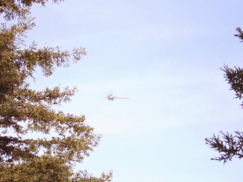 Airplane flying over trees