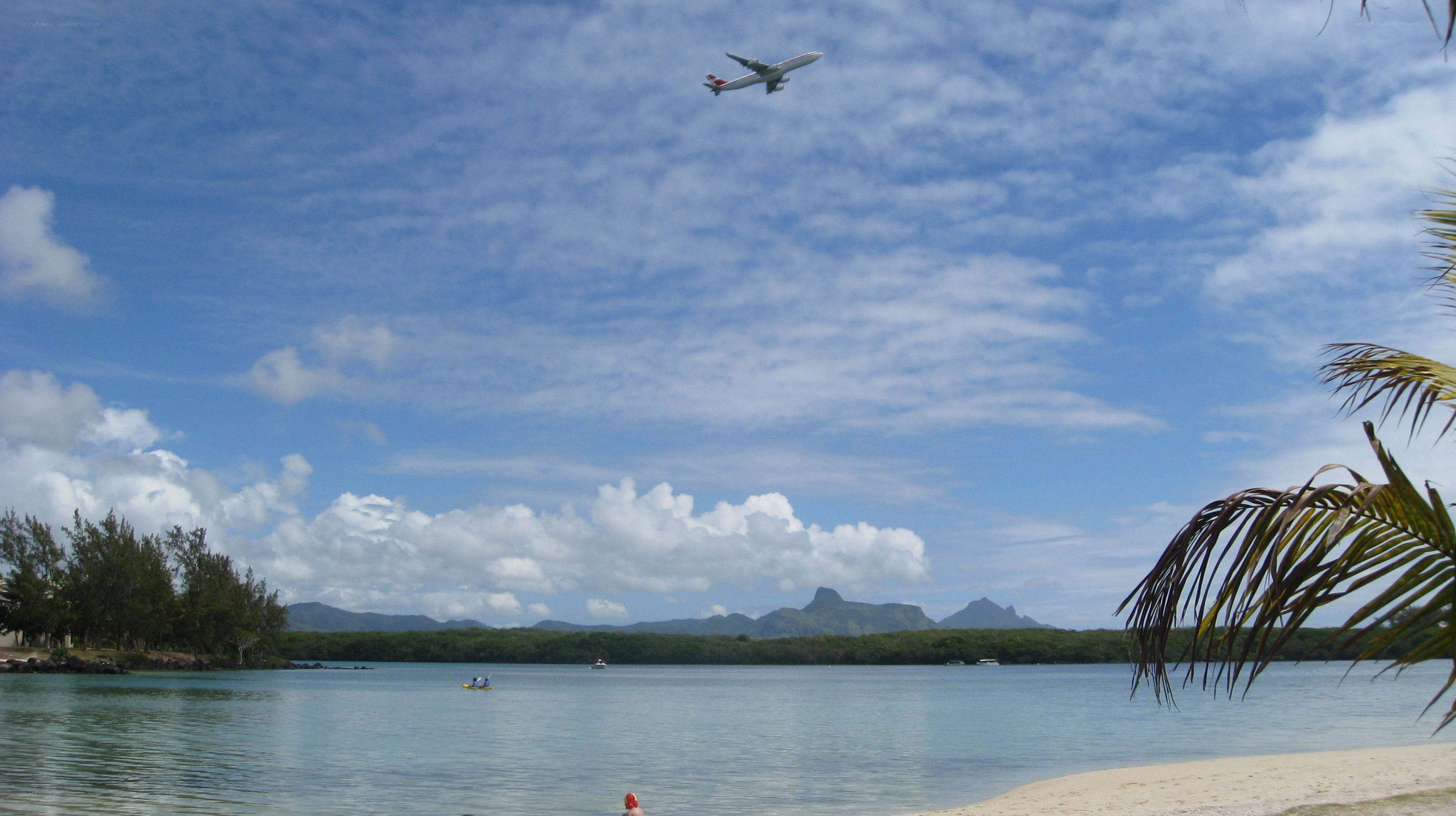 Airplane flying over tropical beach