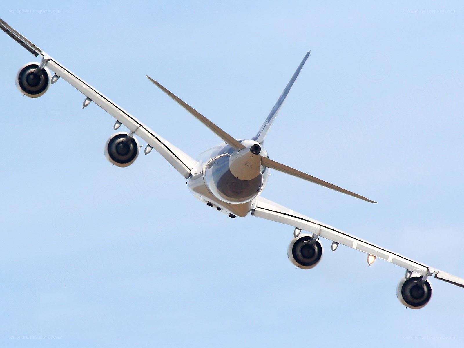 airplane flying overhead