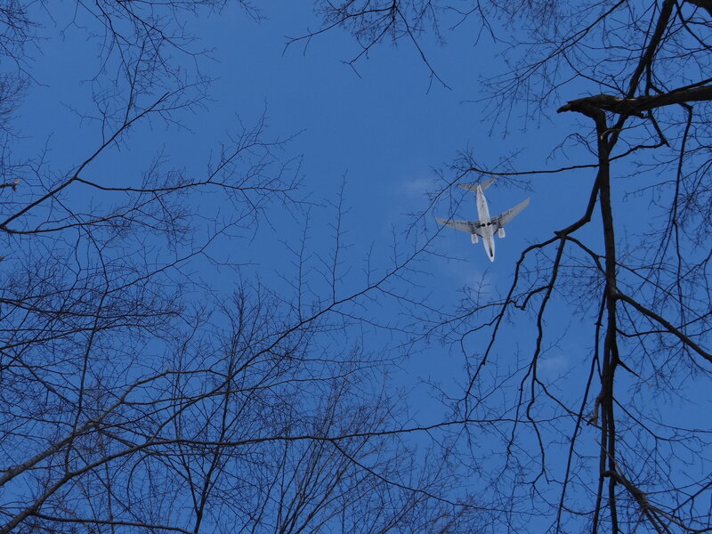 Airplane Flying Overhead — Blue, Serene, Winter