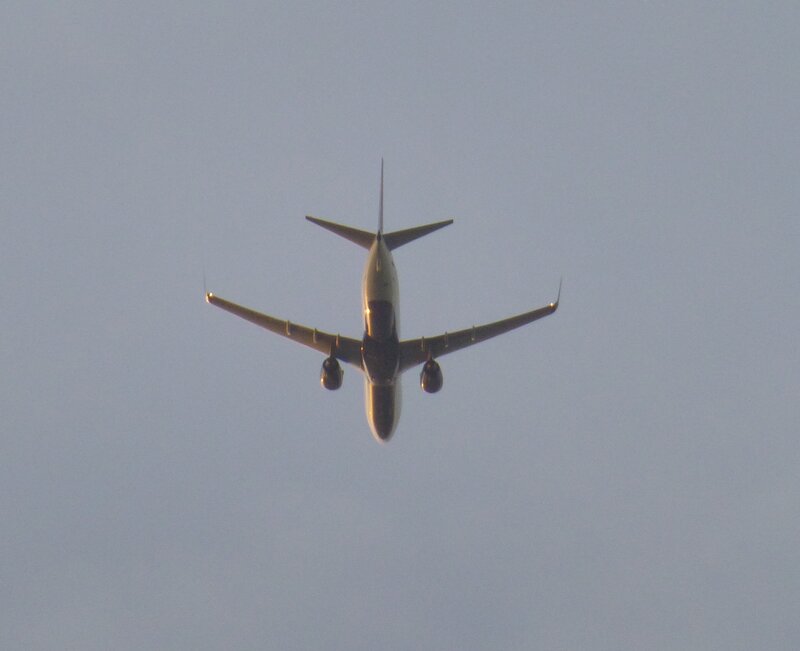 Airplane Flying Overhead — Gray, Calm