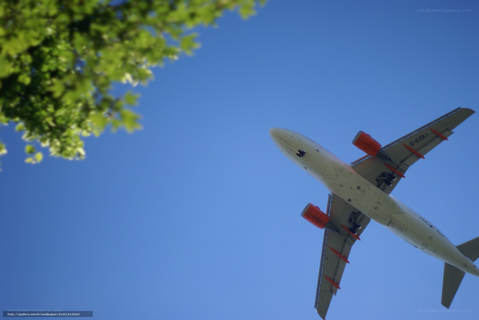 Airplane flying overhead
