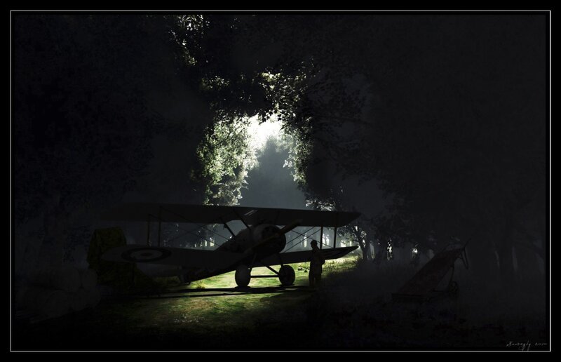 Airplane in a forest clearing