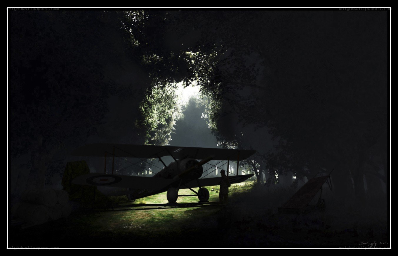 Airplane in a forest clearing