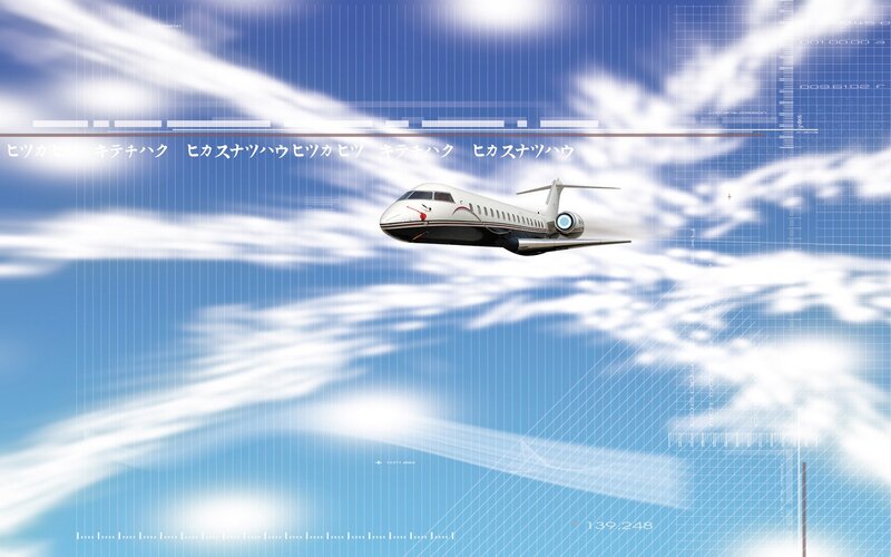Airplane in digital sky