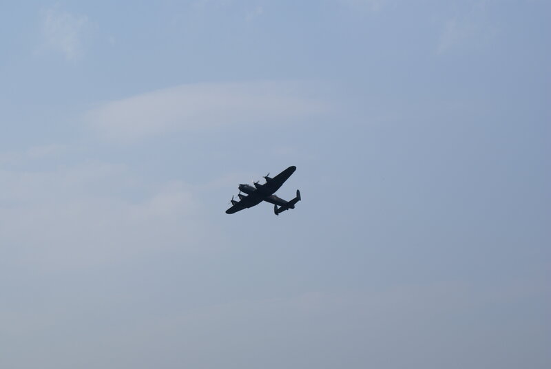airplane in flight