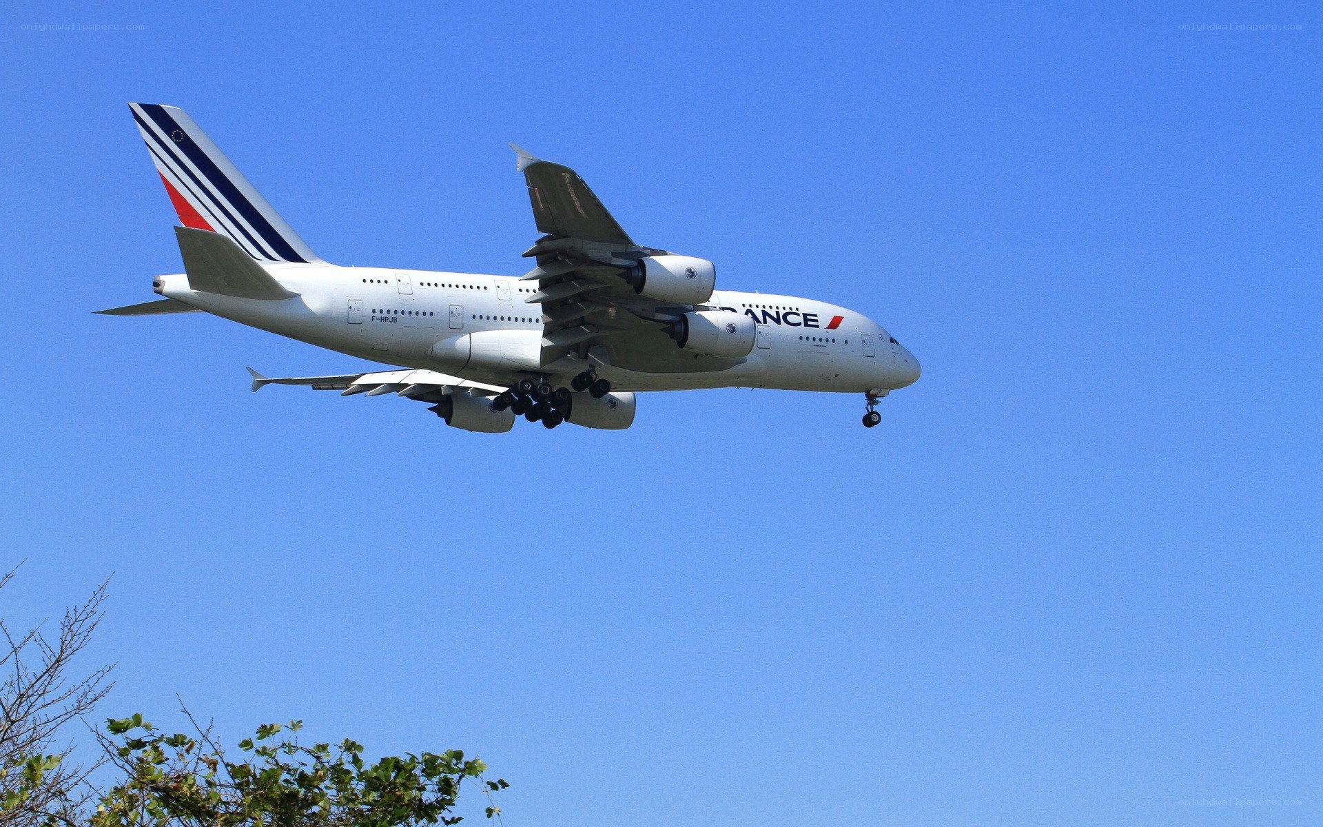 Airplane in flight against blue sky