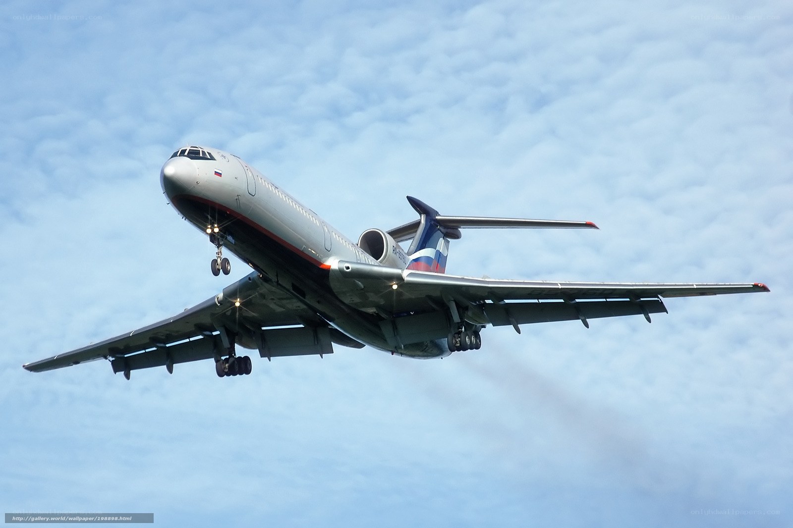 airplane in flight against sky