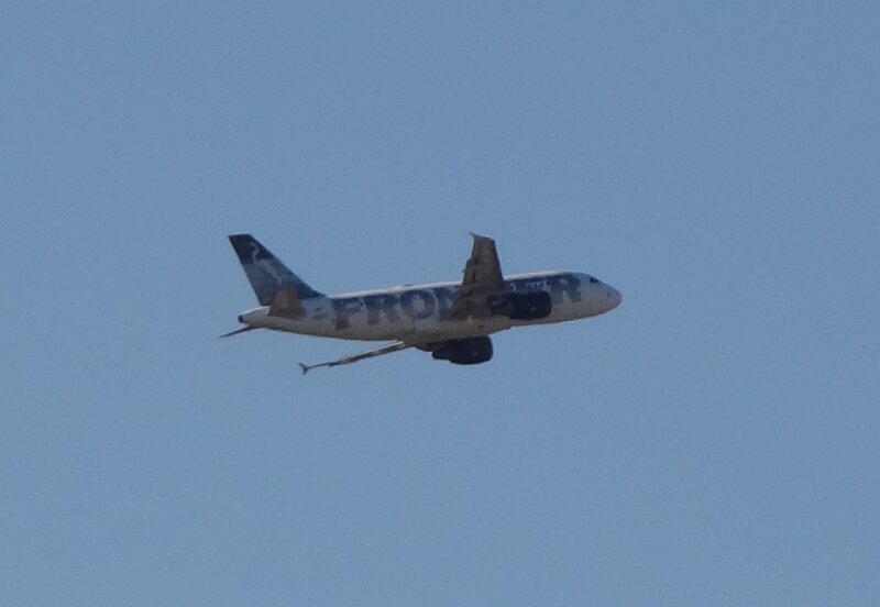 Airplane in Flight — Blue, Calm, Afternoon, Photograph, Sky, Aircraft