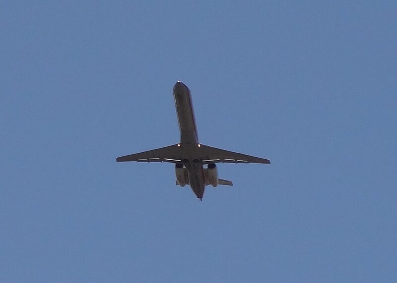 Airplane in Flight — Blue, Calm, Afternoon, Photograph, Sky, Wings, Engines