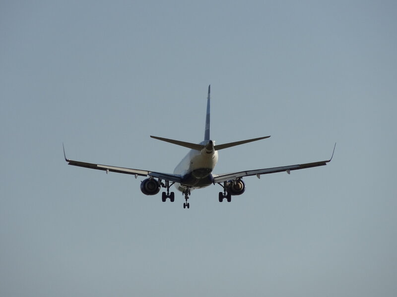 Airplane in Flight — Blue, Calm, Afternoon, Photograph, Wings, Engines