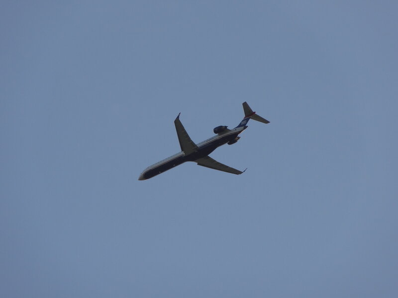 Airplane in Flight — Blue, Calm, Photograph, Sky