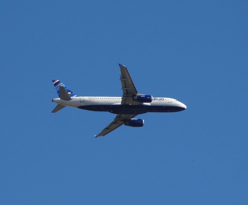 Airplane in Flight — Blue, Clear, Afternoon, Photograph, Blue Sky, Wings