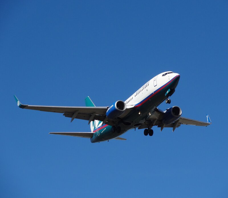 Airplane in Flight — Blue, Clear, Afternoon, Photograph, Sky, Wings, Engines