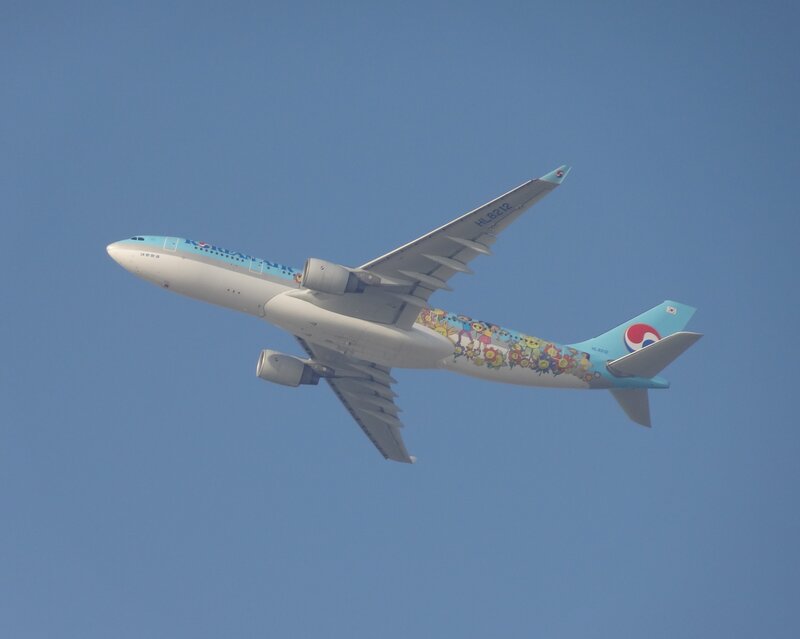 Airplane in Flight — Blue, Serene, Afternoon, Photograph, Sky, Wings