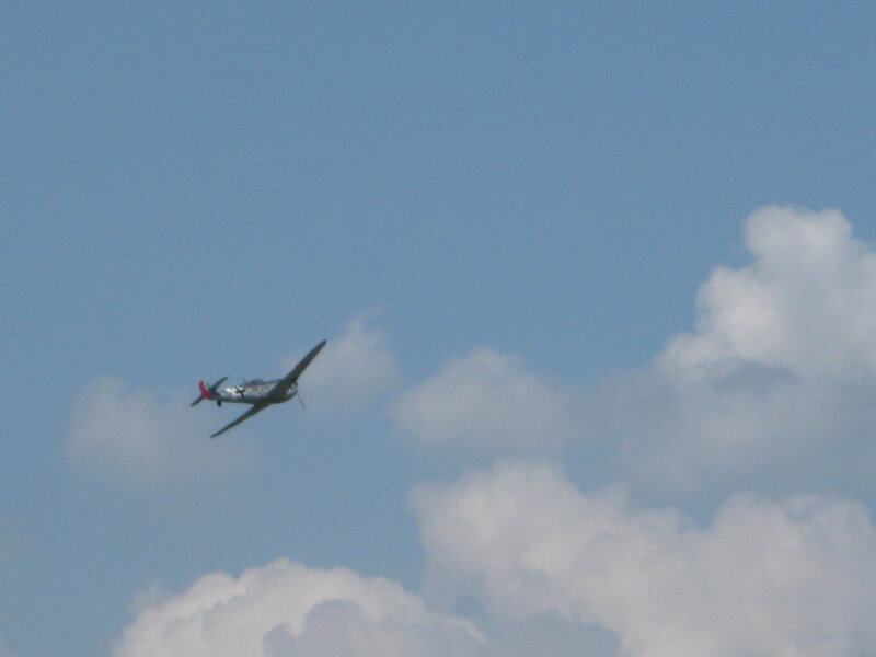 Airplane in Flight — Calm