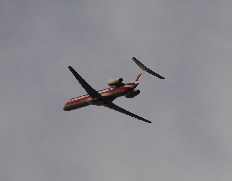 Airplane in Flight — Gray, Neutral, Photograph, Sky