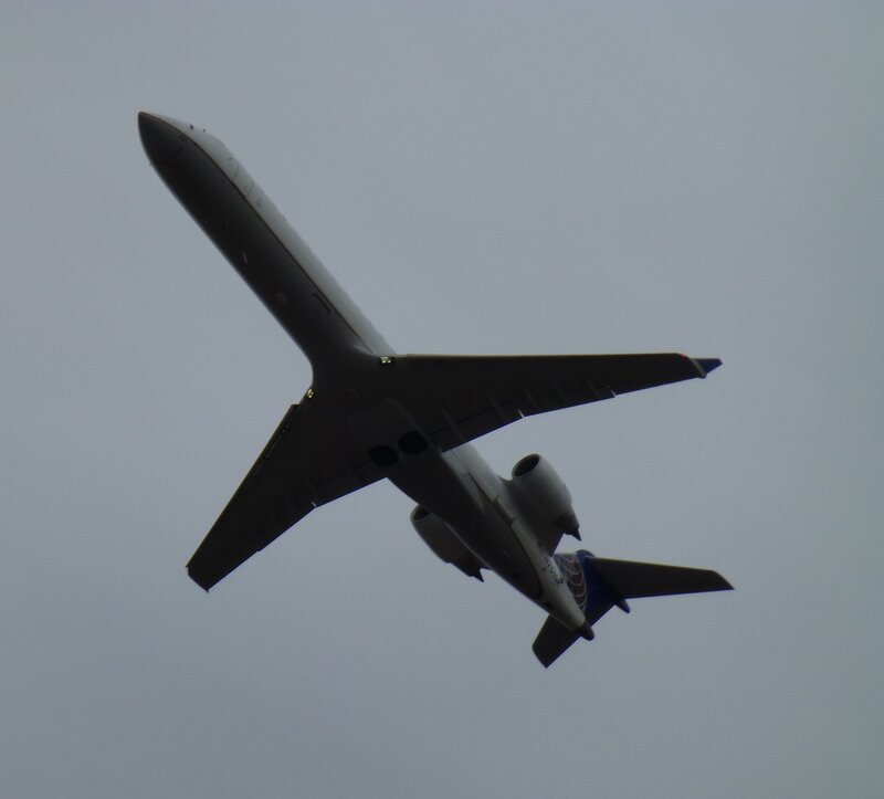 Airplane in Flight — Gray, Neutral, Photograph