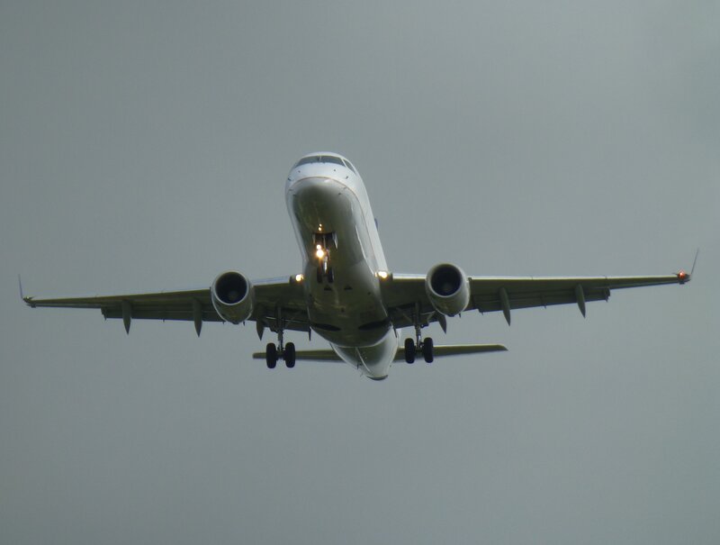 Airplane in Flight — Gray, Neutral, Photograph, Wings