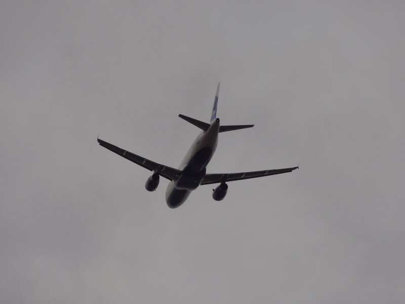 Airplane in Flight — Gray, Overcast, Photograph, Sky, Clouds