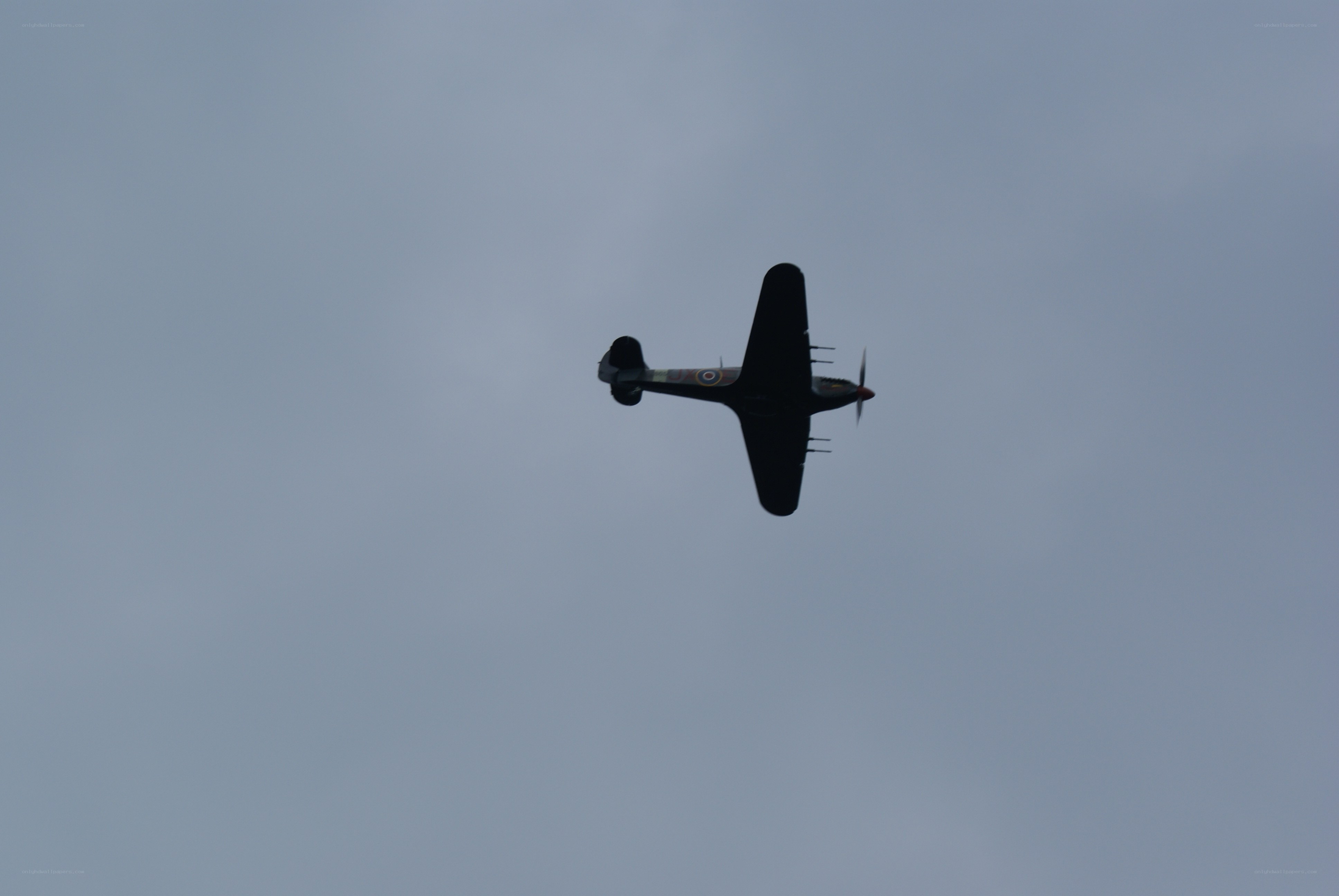 airplane in flight silhouette