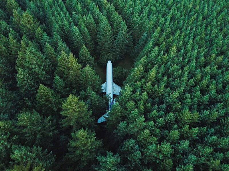 Airplane in Forest — Green, Serene