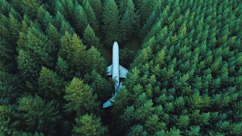 Airplane in Forest — Green